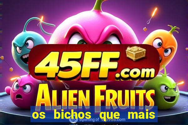 os bichos que mais saem na loteria federal